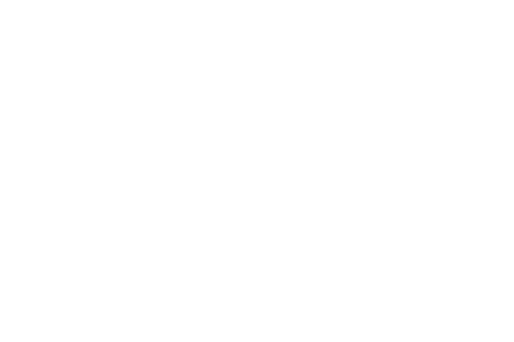 Bichlmaier-bartl-Logo-weiss